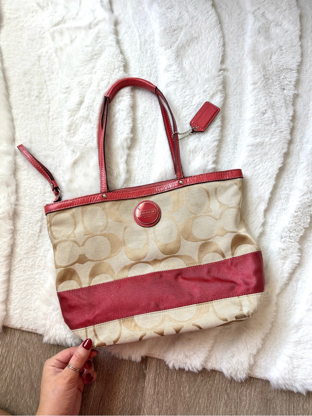 Coach Signature Monogram Stripe Tote Bag
